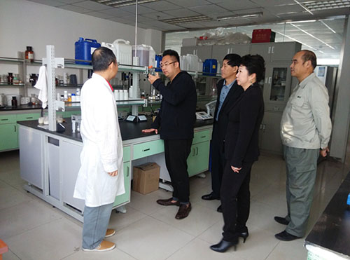 风险久久久久久亚洲精品影院