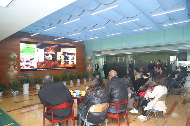 风险久久久久久亚洲精品影院