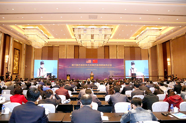 风险久久久久久亚洲精品影院