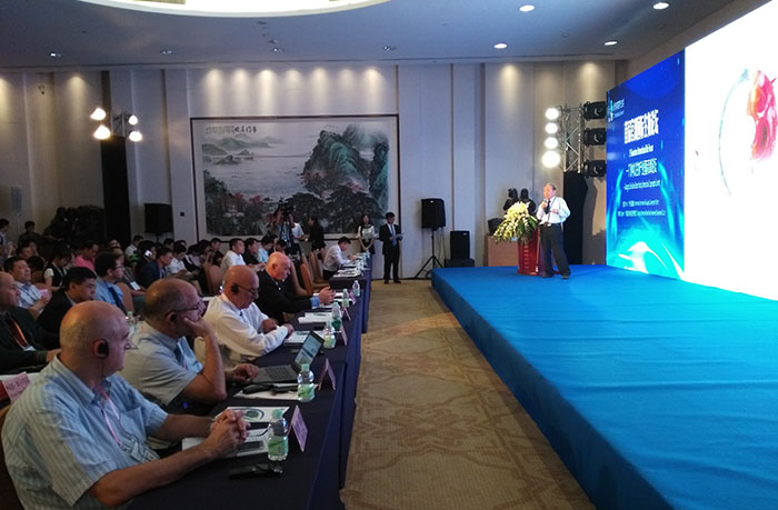 风险久久久久久亚洲精品影院