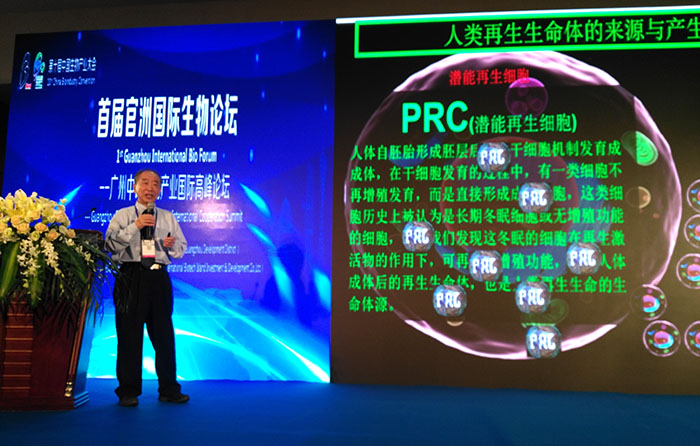 风险久久久久久亚洲精品影院